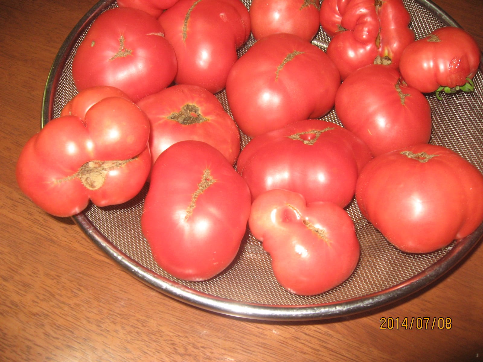 収穫で有り余るトマト 白寿を目指す抗衰老ライフへの誘い