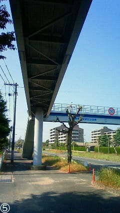 歩道橋