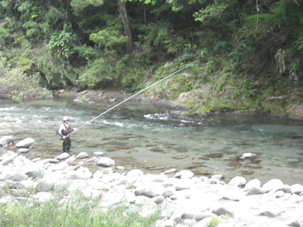 長良川上流郡上漁協の鮎釣り解禁 亀尾島川釣行 郡上長良の亀尾島川 郡上で楽しむ 渓流 鮎釣り