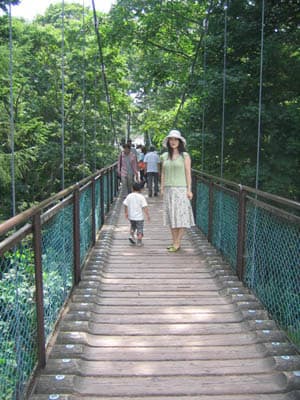 Bridge Bridge
