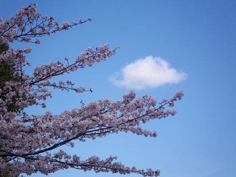 春の空 のんびり浮かぶ白い雲 そよ風つうしん 春の空 のんびり浮かぶ白い雲 そよ風つうしん