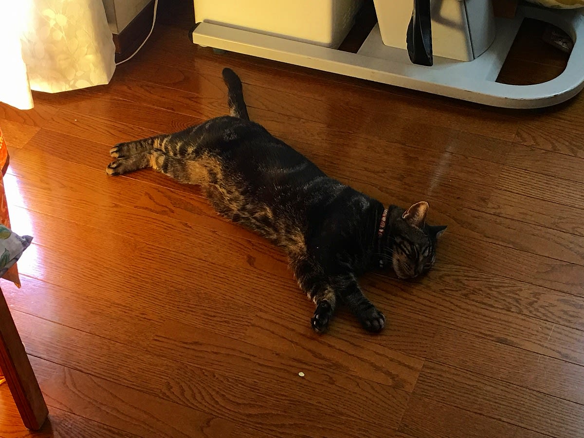 クリックで大きくなります。