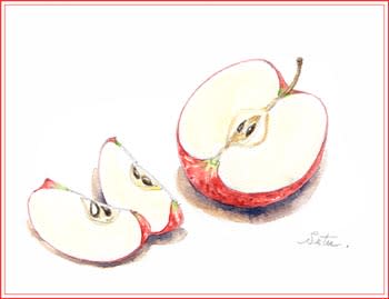 半分のリンゴ おさんぽスケッチ にじいろアトリエ 水彩 色鉛筆イラスト スケッチ