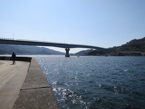 九島大橋へフライングドライブ 開通は４月３日 小太郎のまんぷく日記