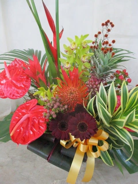 御祝アレンジメントをお作り致しました 南国風プレゼント用 神奈川県 茅ケ崎市の花屋 さんこう生花店 のgooブログ