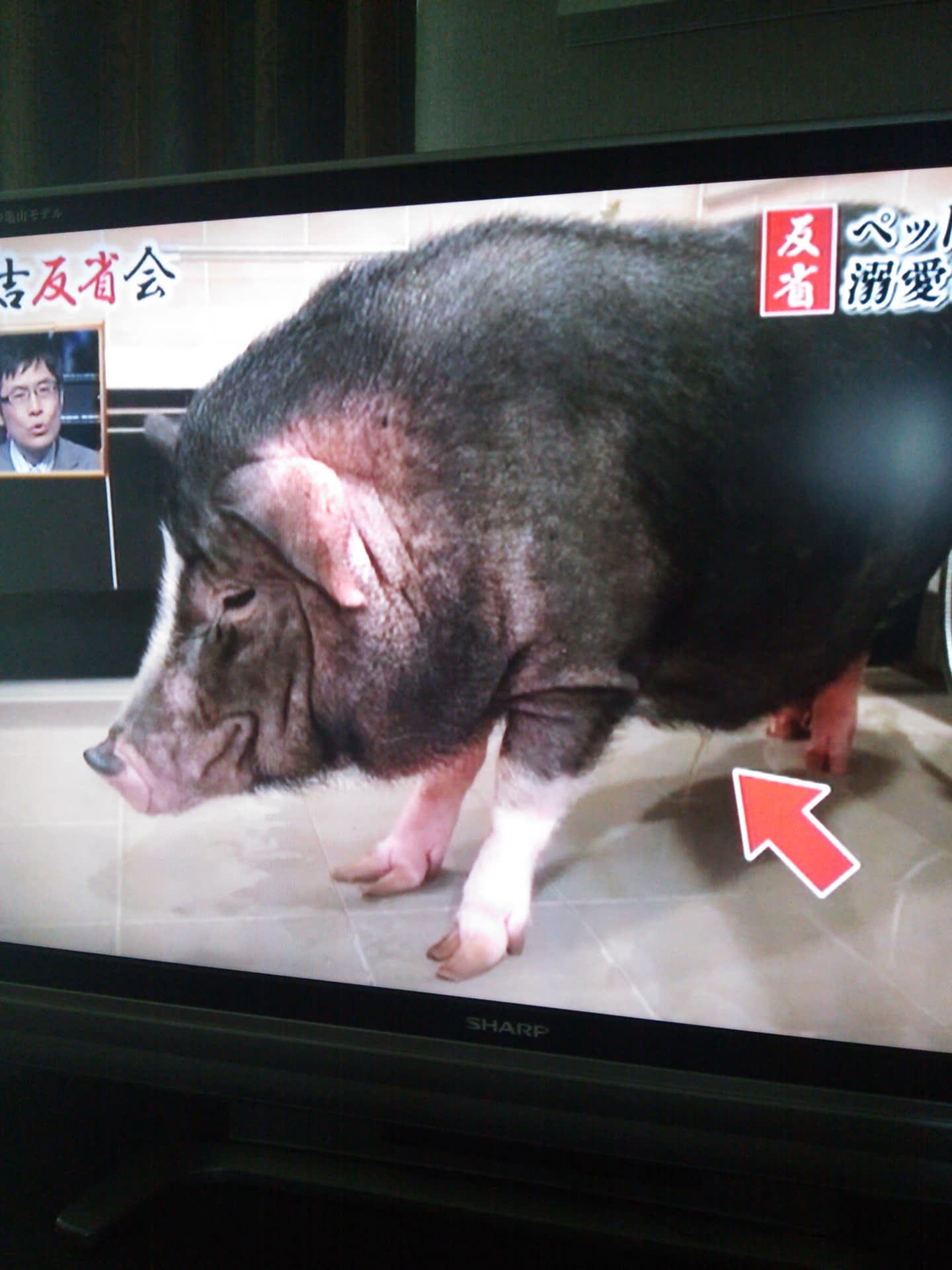 反省会 K Life 反省会 K Life