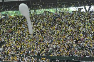 西武VS阪神戦 喜びに沸く阪神ファン - まるみのあっちこっち巡り