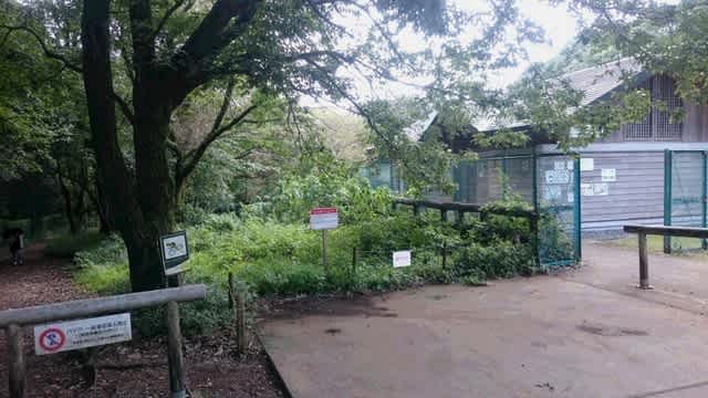 野山北公園アスレチック 六道山公園展望台コース 自転車