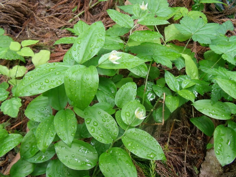Dscf2764 Dscf2764