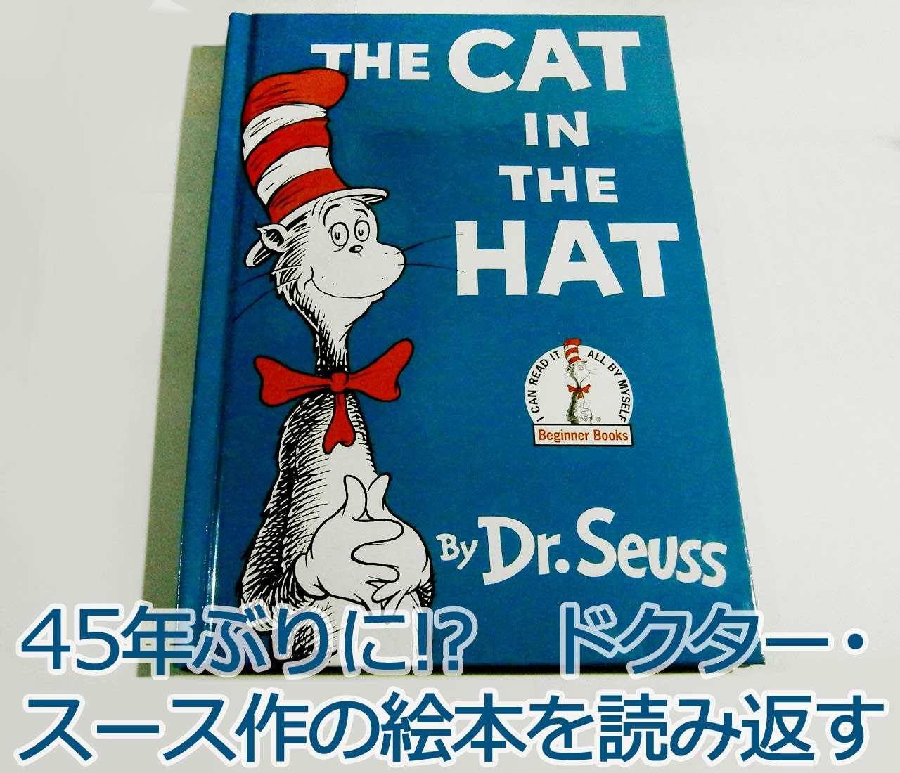 sun Dr.Seuss 絵本33冊 ドクタースース等4点 - 本