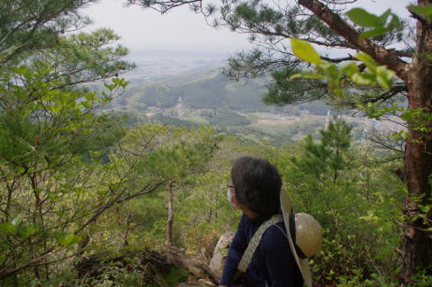 三登谷山見晴の写真