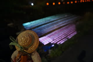 週末にライトアップされた東山岡崎エリア 平安神宮へ 夜の参拝 ネコのミモロのjapan Travel ｍｉｍｏｒｏ ｔｈｅ ｃａｔ Japan Travel