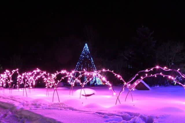 八幡平サラダファームのイルミネーション 南部吟遊詩人の写真館 八幡平サラダファームのイルミネーション 南部吟遊詩人の写真館