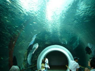 琵琶湖博物館の写真