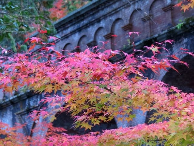 Kyoto 疎水の名で親しまれている 禅寺水路閣 4景 疎水 禅寺水路閣 の煉瓦は漢字で書くがふさわしい 渋い煉瓦の赤が心よく響く 乱鳥の書きなぐり