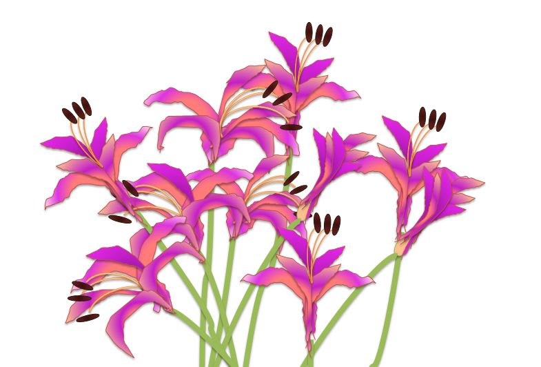 ネリネ ヒガンバナ科の花 紫陽花 ブログビギナー