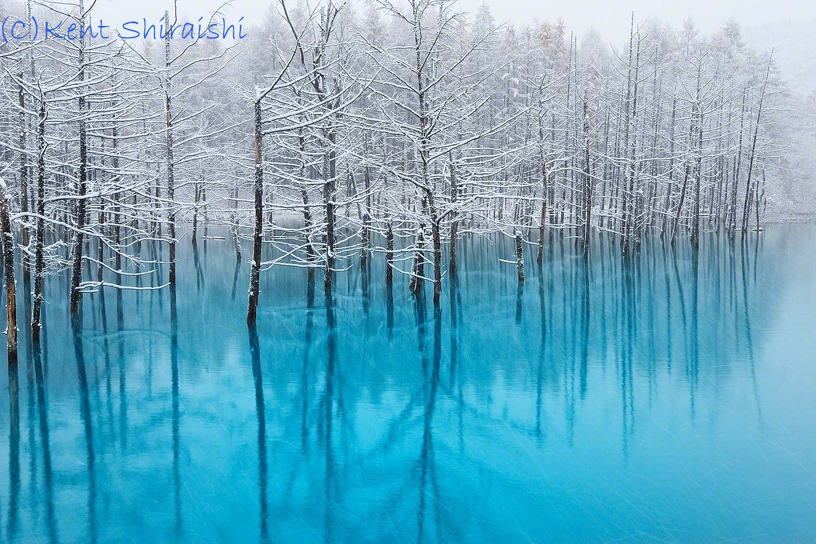 英国の写真誌で大きく 青い池 が掲載されます Kent Shiraishi Photo Blog