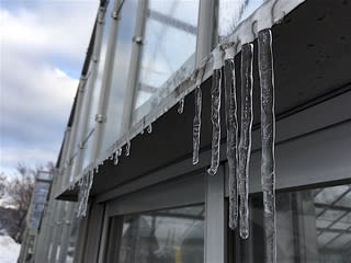 つららが透明な理由 花のたより 山のふみ 青森県立名久井農業高等学校