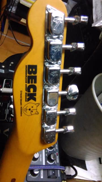 ギターの近況 Fender Telecaster Beckコラボ エレアコ エレキ エフェクター自作遊びと実験