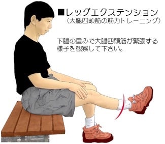 膝ｏａに筋力増強訓練は必要か 金沢市の整体院 樹 Tatsuki 勉強ノート