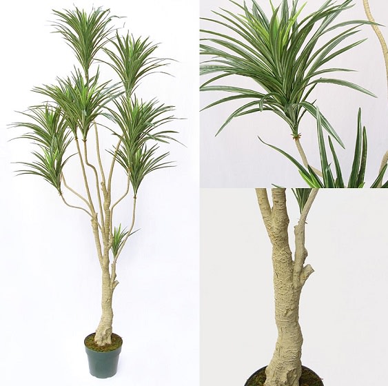 造花　高い　フェイクグリーン　170センチ フェイクグリーン フィカス 高さ170cm 斑入り （ 観葉植物