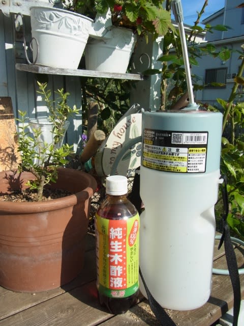 木酢液散布のススメ Olive Gardening過去ログ倉庫 木酢液散布のススメ Olive Gardening過去ログ倉庫