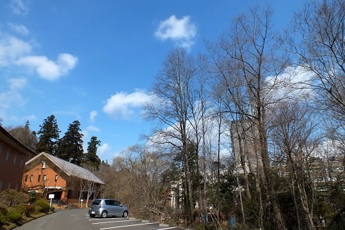 東北大学植物園 ゆめとハナウタ