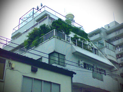 Midori090614 Midori090614