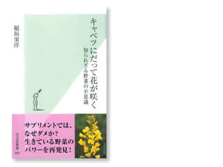 キャベツにだって花が咲く ハタケンポ 畑散歩 キャベツにだって花が咲く ハタケンポ 畑散歩