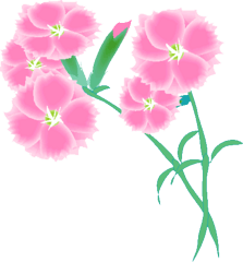 Yosigamoイラスト なでしこgif Yosigamo Sakura の いけ花ガーデニング 緑 風 陽 と 花イラスト