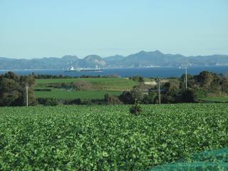 三浦半島の絶景は大根畑と富士山 魚のアトリエ うおとりえ 三浦半島の絶景は大根畑と富士山 魚のアトリエ うおとりえ