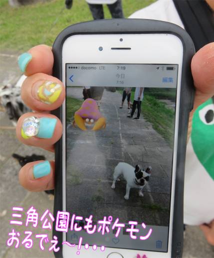 小さな小さな公園にレアポケモンも ポケモン探しでゴミのポイ捨てマナー守ろうね 男のマグロ漬け いげのやま美化クラブ