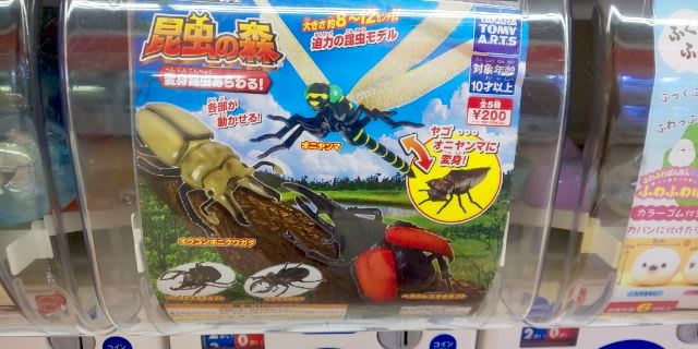 オニヤンマが欲しいんじゃ 不定期公演 エクス マギーナ