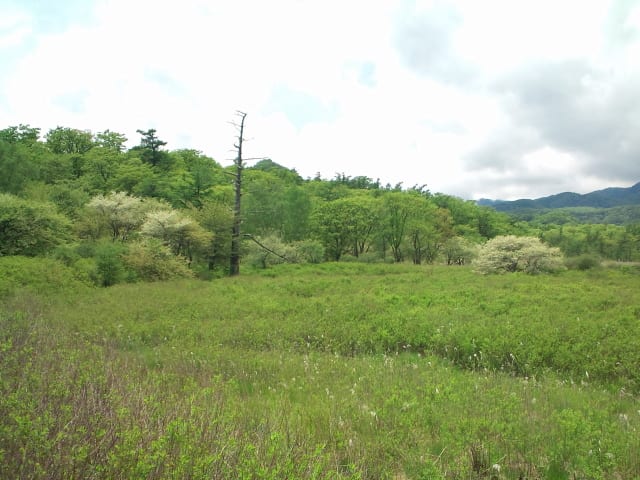 F1000035_2 F1000035_2