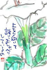10/22「チョウセンアサガオ」 - ゆみんばのブログ☆原点は絵手紙！