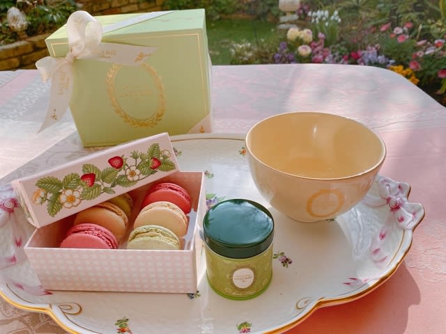 ラデュレ 新品未使用 2点セット 抹茶椀 LADUREE