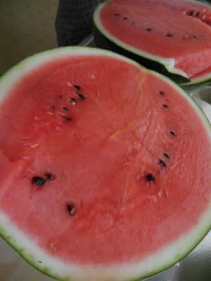 夏らしいもの ひとり歩きのハイカラ味来人 夏らしいもの ひとり歩きのハイカラ味来人