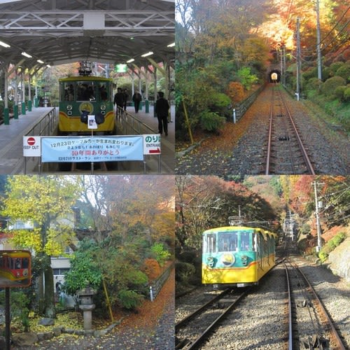 東京散策　高尾山山頂から観る富士山 - コダワリの女のひとりごと(Minettyの旅とグルメ）