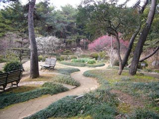 稲美町中央公園・万葉の森の写真
