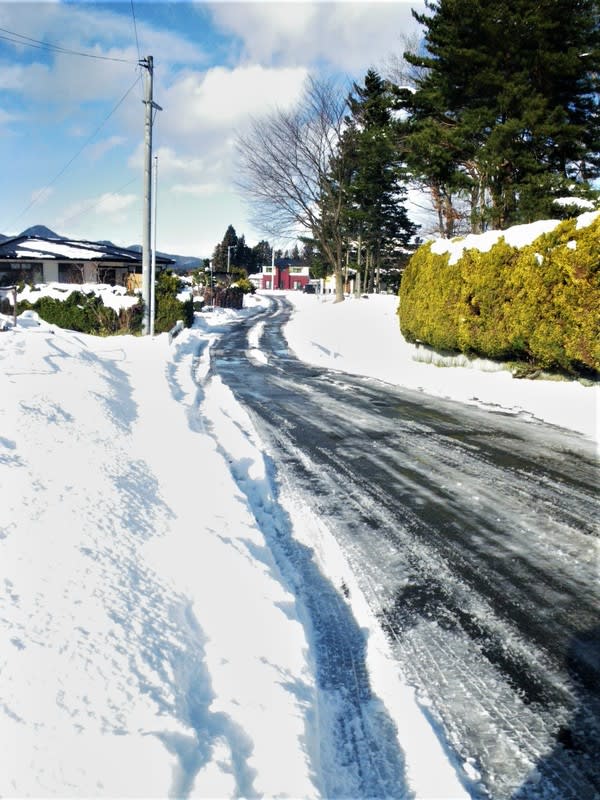 18 12 14 湿雪10センチ 爺つぁま日記