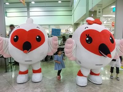 イオン新潟東で ウメコの毎日 イオン新潟東で ウメコの毎日