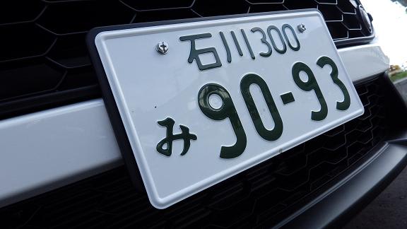 IMGP9555-1 (11).JPG