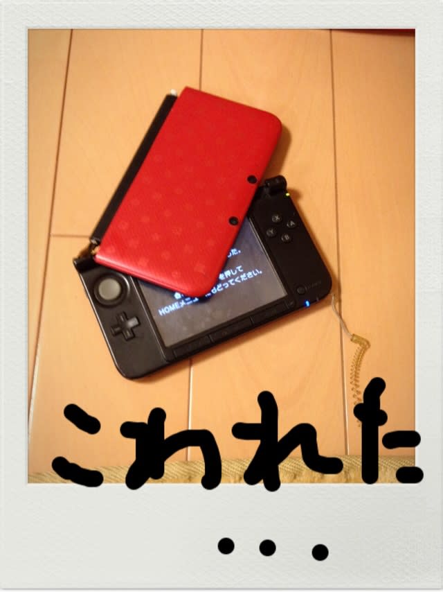 ds破壊 愛しい息子たち