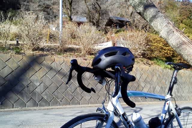 チャリンコもいるからなあ むしろ自転車で20キロ以上出しながらポケモンgoやるの危ないだろ