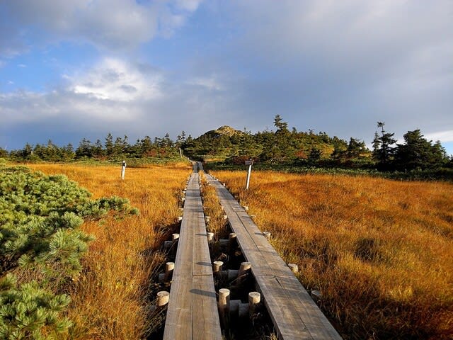 紅葉の名山 尾瀬至仏山絶景編 気ままなピークハンターズの山旅