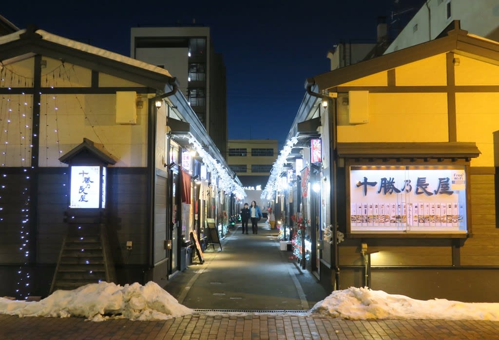 帯広の夜は えふし に さきち のひとり旅