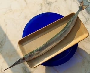 オルフィと言う名の魚 日本ではダツと言うそうです Fleur De Sel 塩の華