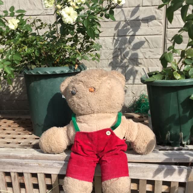 私のお宝 うさぎとかめの手作りな日々 私のお宝 うさぎとかめの手作りな日々