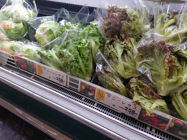 レタス 高いですね 農 と言える