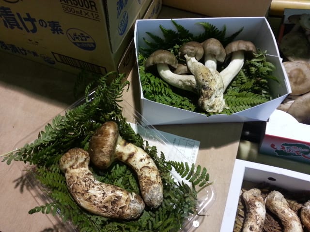 20131106_065804.jpg